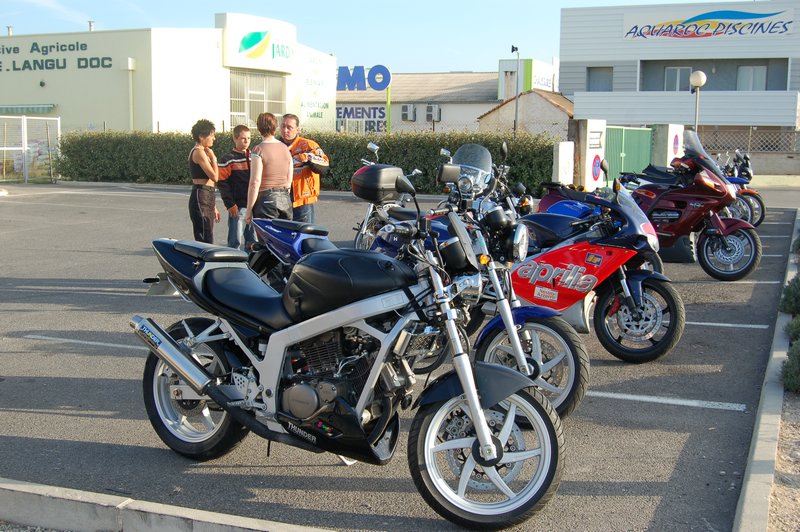 DSC_1533.JPG
