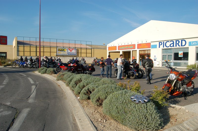 DSC_1558.JPG