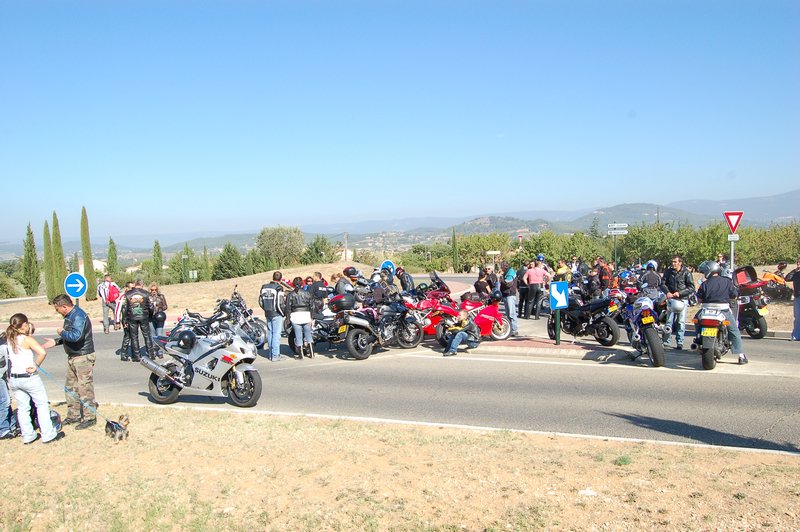 DSC_1590.JPG