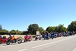 DSC_1593.JPG