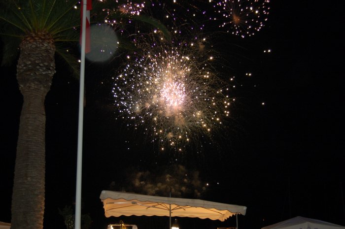 DSC_0264.JPG