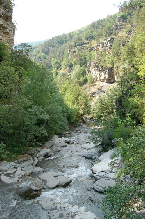 DSC_0317.JPG