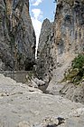 DSC_0310.JPG