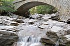 DSC_0313.JPG