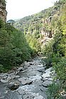 DSC_0317.JPG