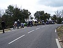 100_3823.jpg