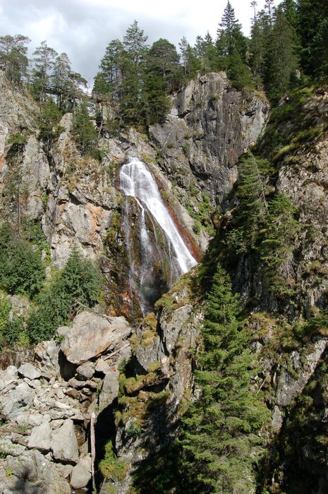 DSC_1345.JPG