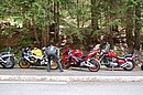 DSC_1333.JPG
