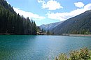 DSC_1335.JPG