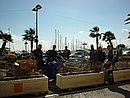 DSC00804.JPG