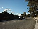 DSC00812.JPG