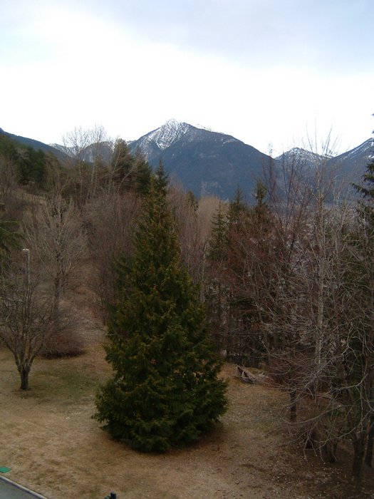 DSCF0003.JPG