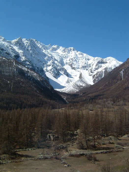 DSCF0005.JPG