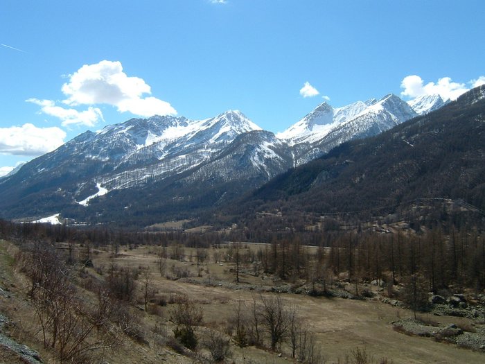 DSCF0006.JPG
