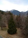 DSCF0003.JPG