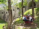 100_3917.jpg