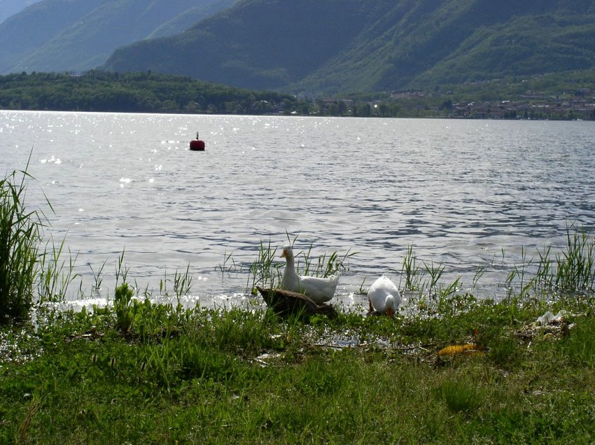 P1010020.JPG