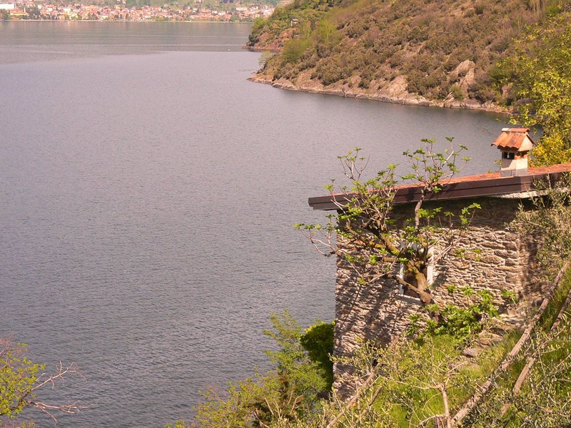 P1000784.JPG