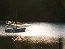 100_4382.JPG