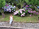 100_4384.JPG
