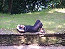 100_4393.JPG