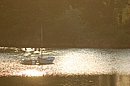 DSC_0063.JPG