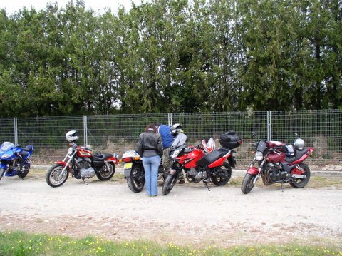 P1010003.JPG