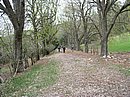 P1010015.JPG