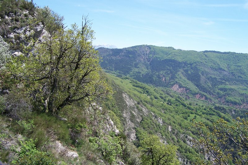 100_4074.jpg