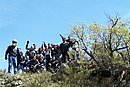 100_4072.jpg