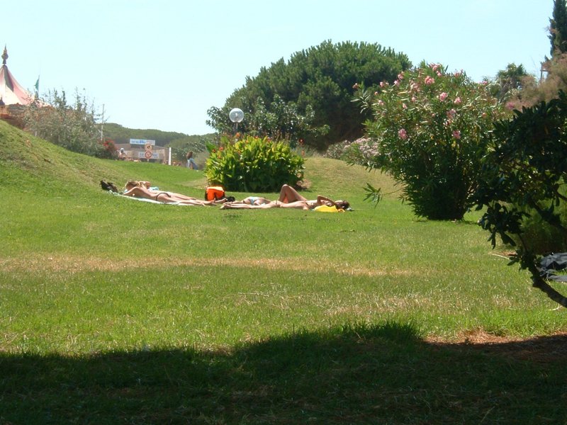 DSCF0015.JPG