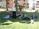 DSCF0016.JPG