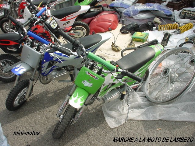 DSC01036.JPG