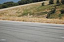 DSC_0233.JPG