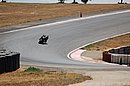 DSC_0240.JPG