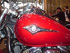 DSC03850.JPG