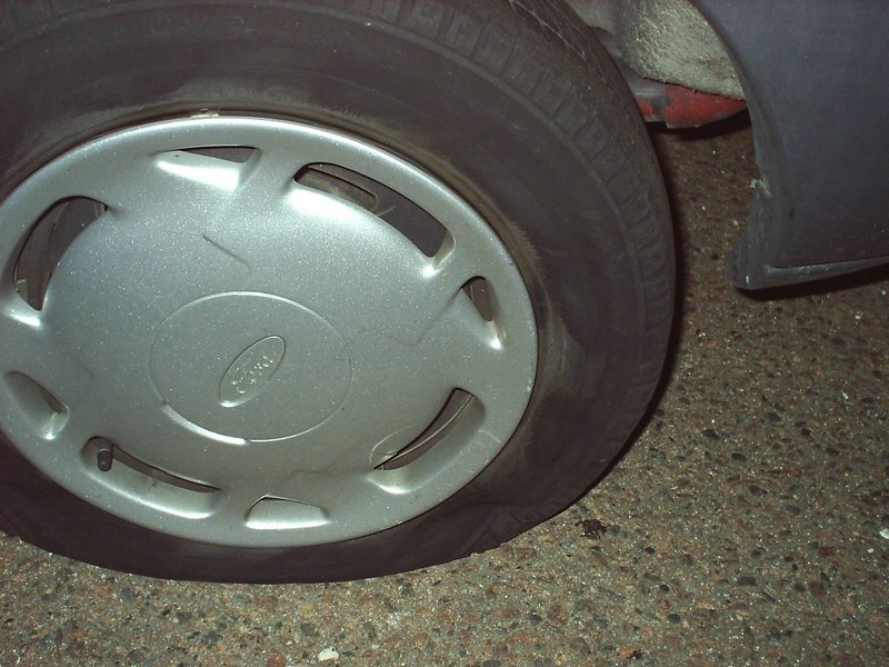 S3000008.JPG