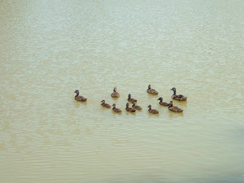 DSCF0027.jpg