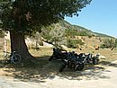 DSCF0021.jpg