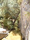 DSCF0025.jpg