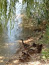 DSCF0026.jpg