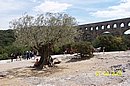 100_1744.jpg