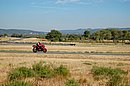 DSC_1204.JPG