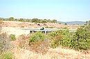 DSC_1205.JPG
