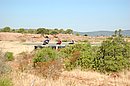 DSC_1206.JPG