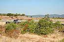 DSC_1207.JPG