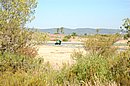 DSC_1208.JPG