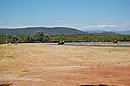 DSC_1231.JPG