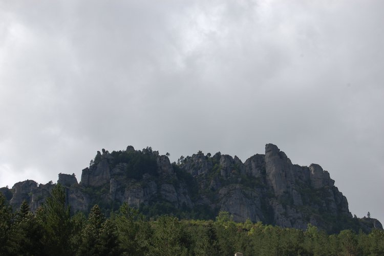 DSC_1420.JPG