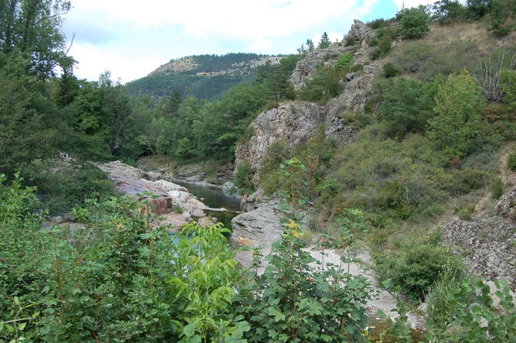 DSC_1422.JPG